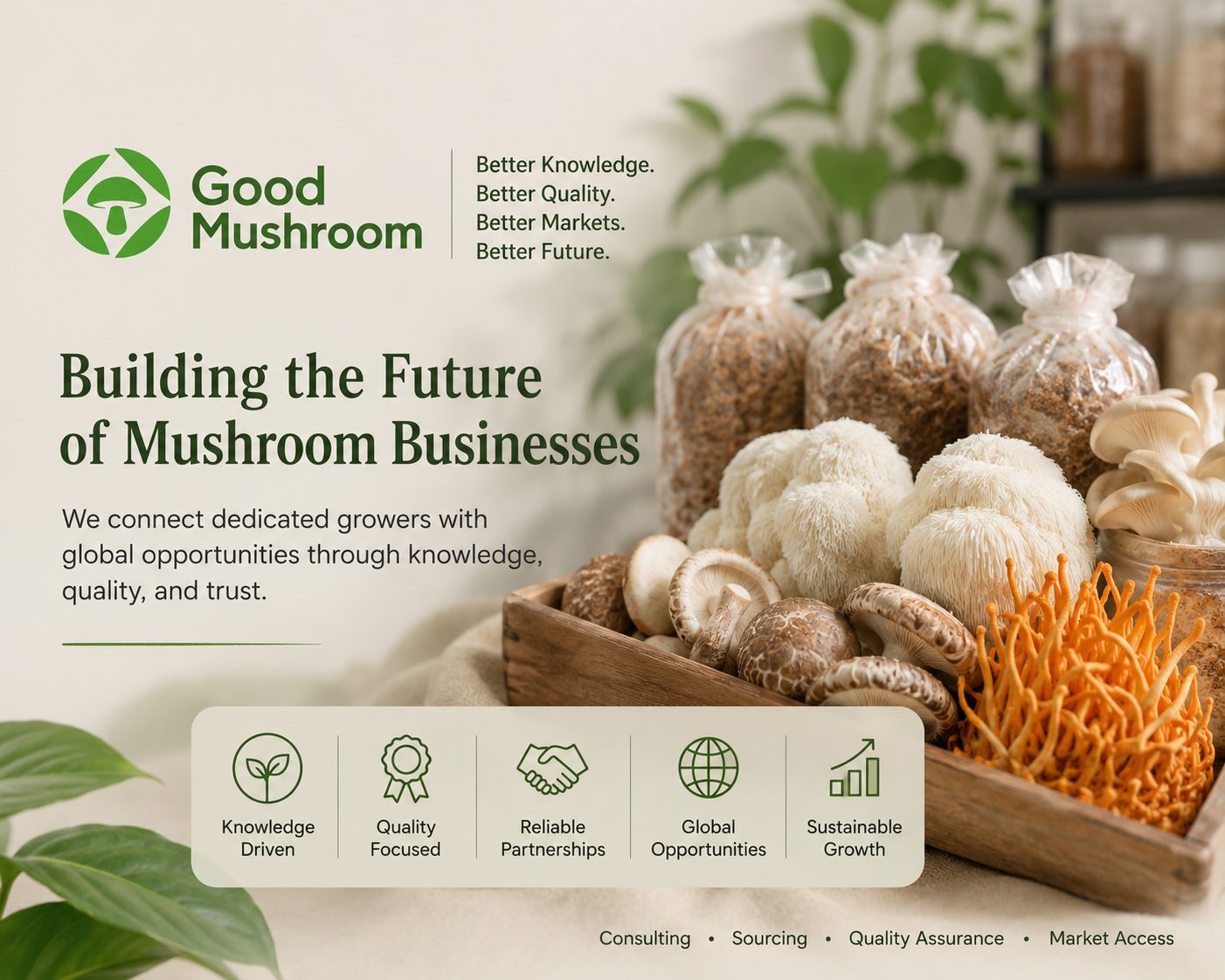 Mushroom products and grower materials used to illustrate commercial advisory work
